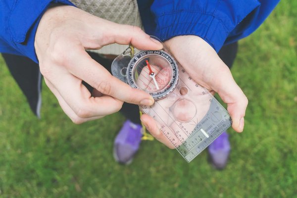 How can you explore ancient druid sites in Wales with an expert archaeologist?